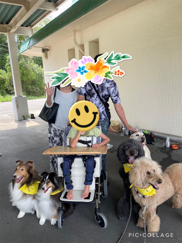f:id:sakaivet2019:20240917001442j:image