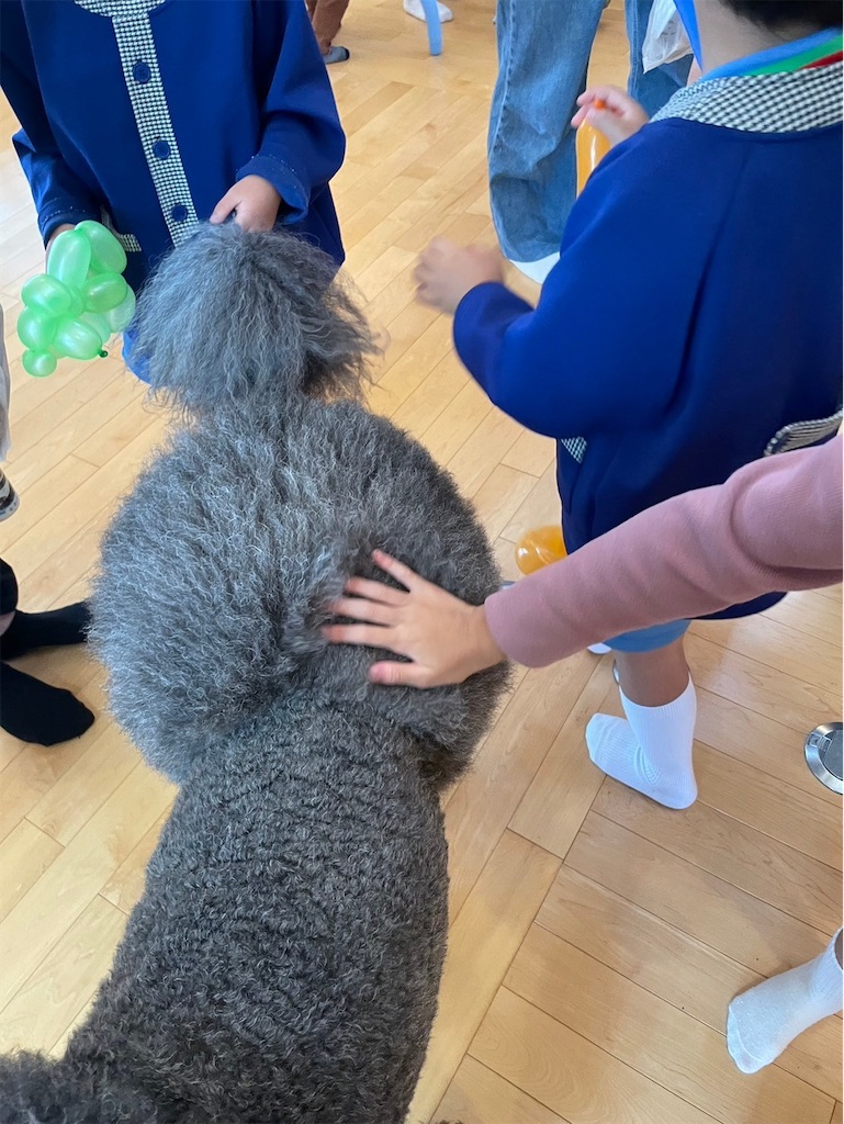 f:id:sakaivet2019:20241005213503j:image
