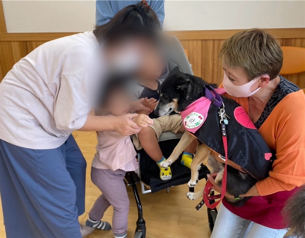 f:id:sakaivet2019:20241005213640j:image