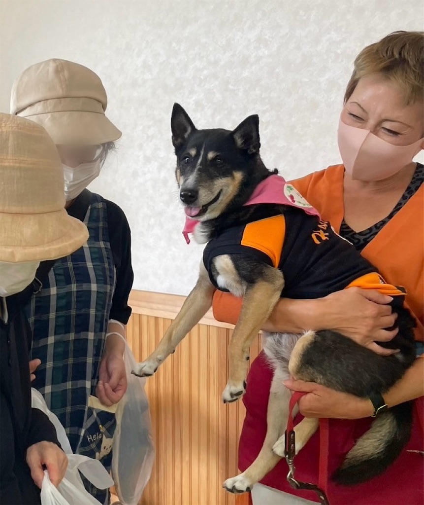 f:id:sakaivet2019:20241005213846j:image
