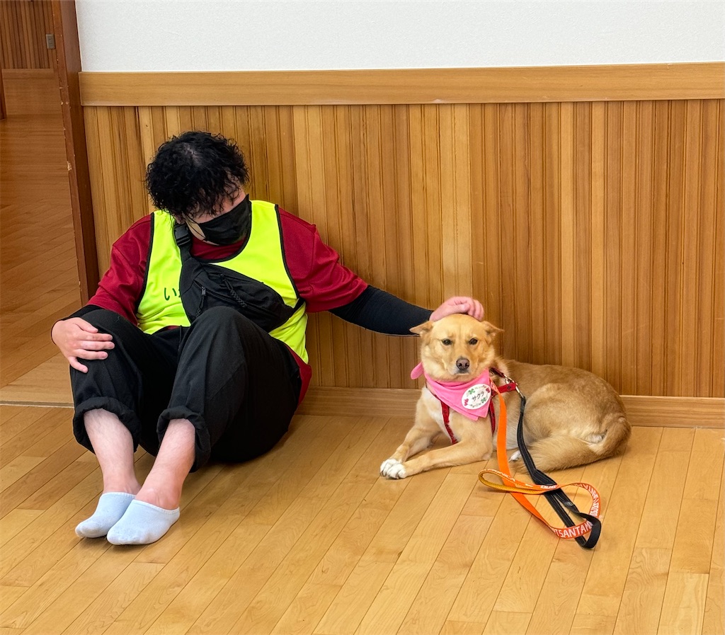 f:id:sakaivet2019:20241005214802j:image