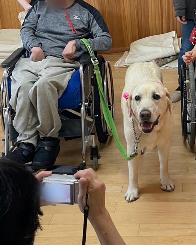 f:id:sakaivet2019:20241005215206j:image