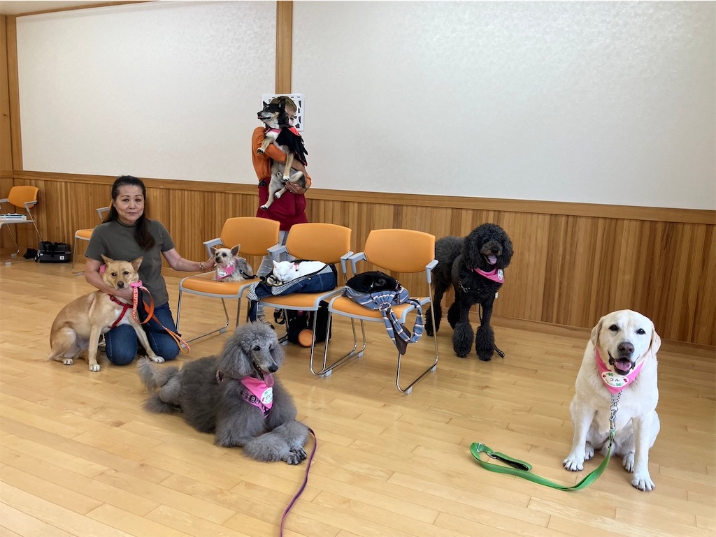 f:id:sakaivet2019:20241005225213j:image