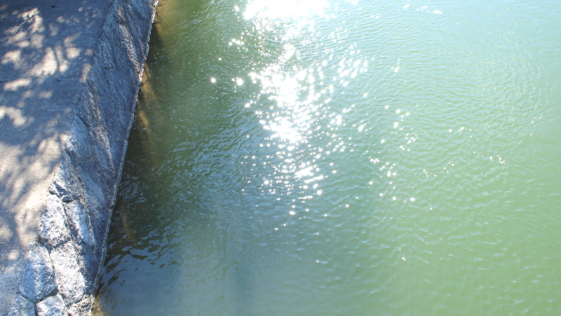 f:id:sakakazupics:20170528161923j:image