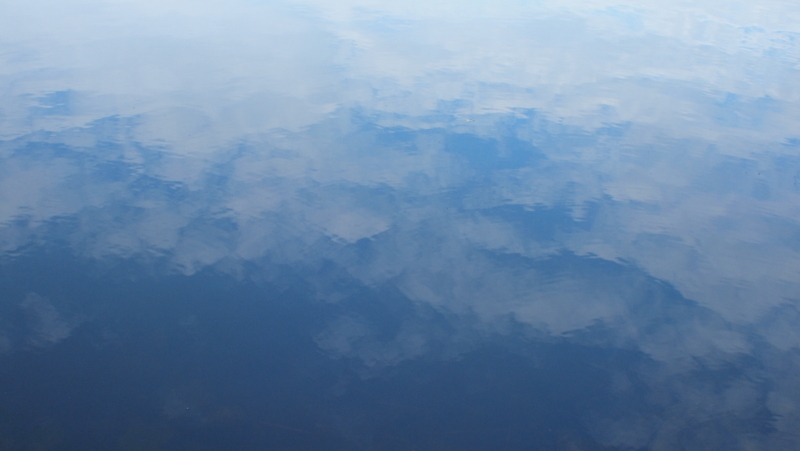 f:id:sakakazupics:20171009081414j:image