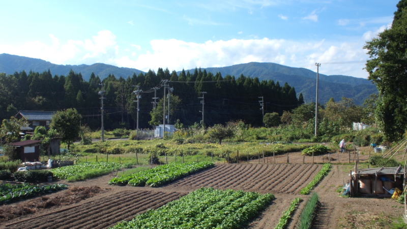 f:id:sakakazupics:20171009145444j:image