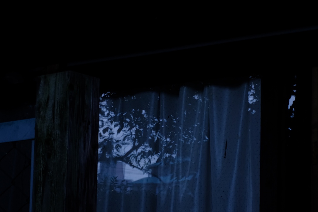 f:id:sakakazupics:20200724112033j:plain