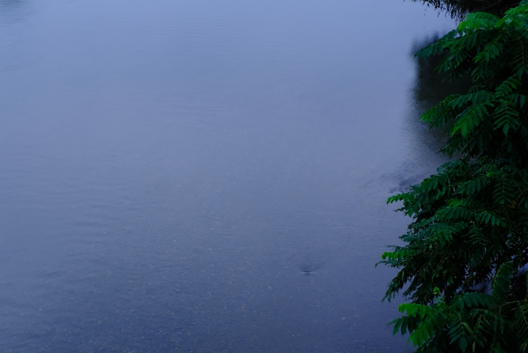 f:id:sakakazupics:20200724112111j:plain