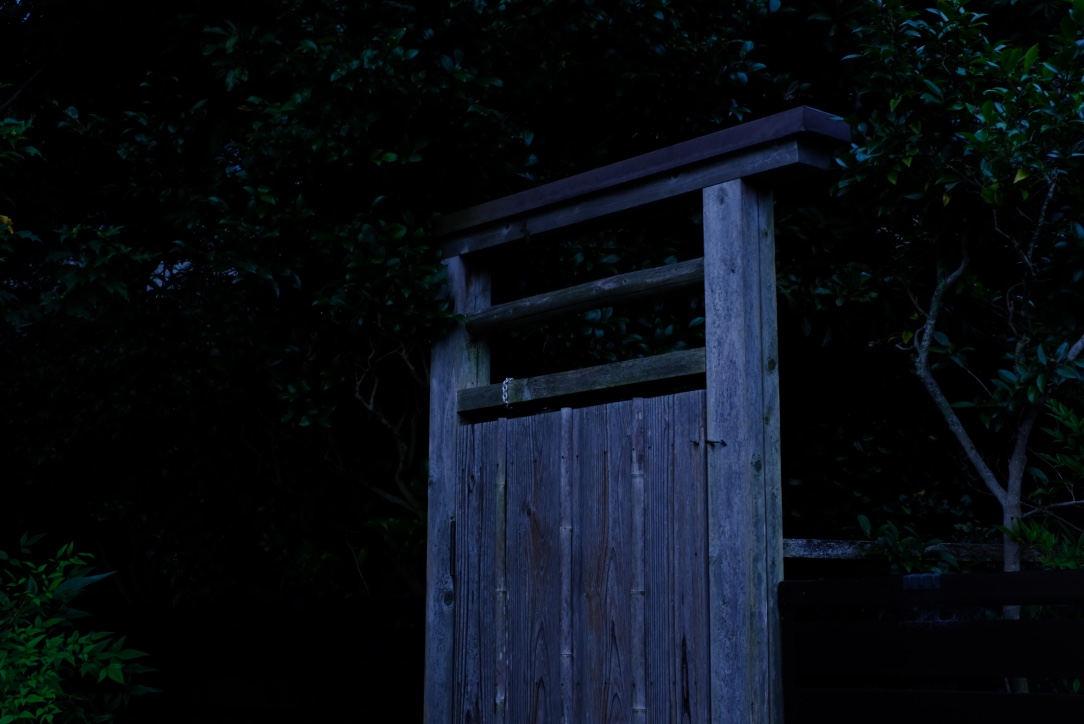 f:id:sakakazupics:20200724114738j:plain