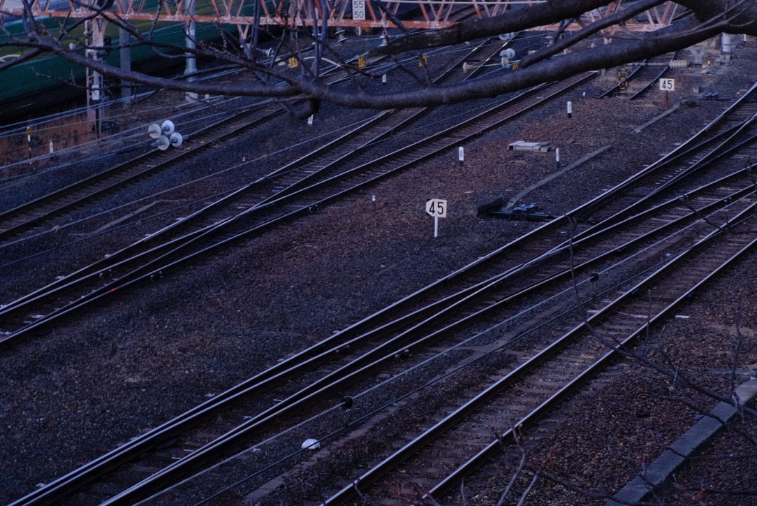 f:id:sakakazupics:20210216210728j:plain