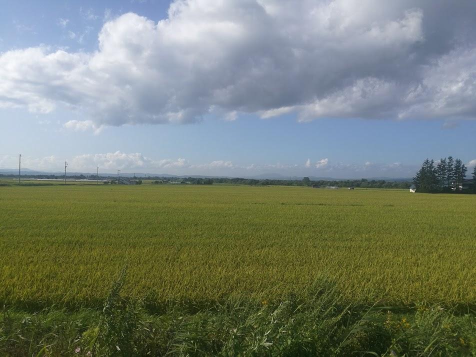 f:id:sakakendo0321:20190318000420p:plain f:id:sakakendo0321:20190318000420p:plain