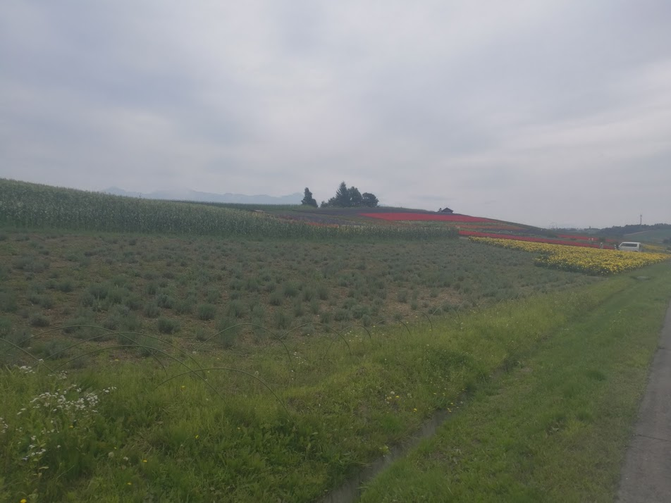 f:id:sakakendo0321:20190318002710p:plain f:id:sakakendo0321:20190318002710p:plain