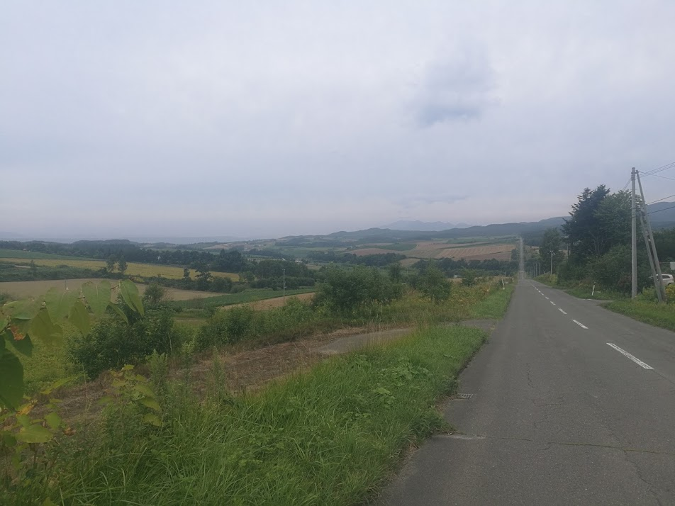 f:id:sakakendo0321:20190318002850p:plain f:id:sakakendo0321:20190318002850p:plain