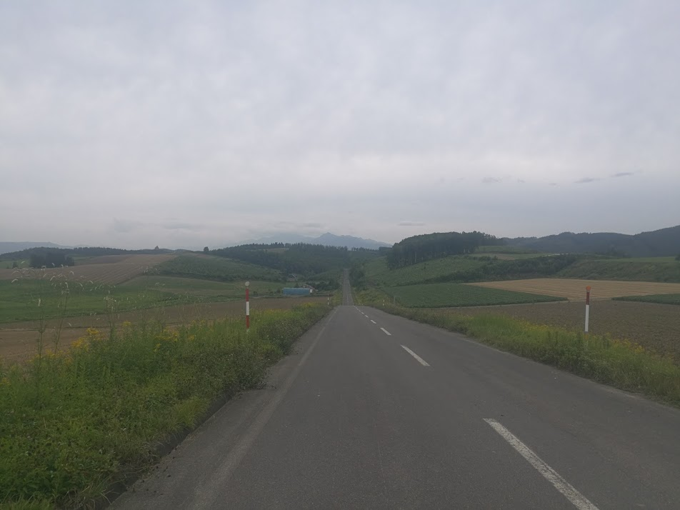 f:id:sakakendo0321:20190318003019p:plain f:id:sakakendo0321:20190318003019p:plain