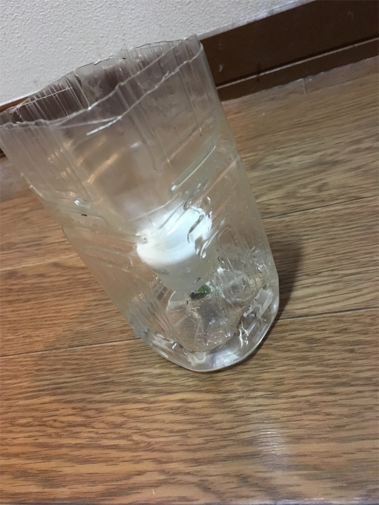 f:id:sakaki3mm:20170921054553j:image f:id:sakaki3mm:20170921054553j:image