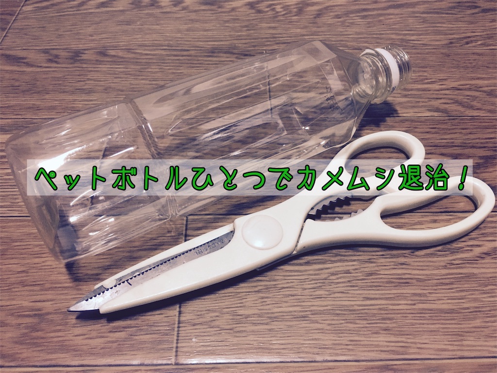 f:id:sakaki3mm:20170921054713j:image f:id:sakaki3mm:20170921054713j:image