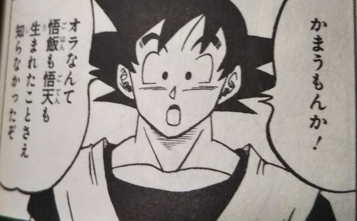 f:id:sakamotoakirax:20201029115911j:plain