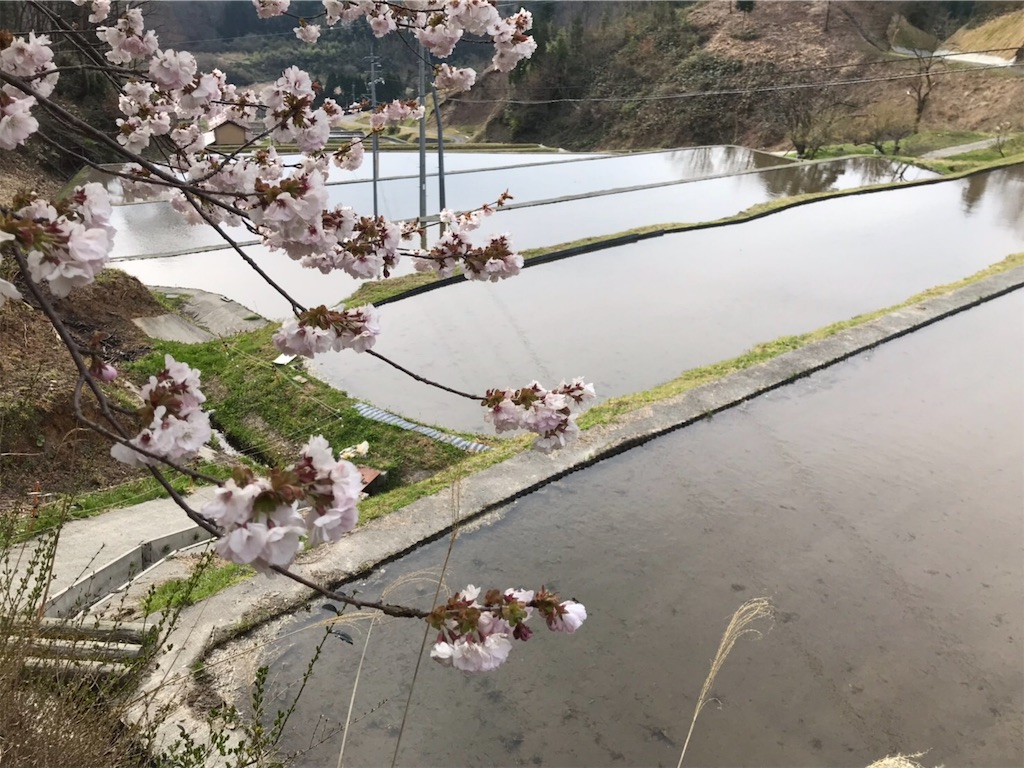 f:id:sakamotonomoto:20200512141753j:image f:id:sakamotonomoto:20200512141753j:image