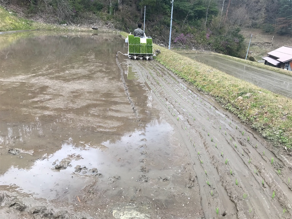 f:id:sakamotonomoto:20200516103022j:image f:id:sakamotonomoto:20200516103022j:image
