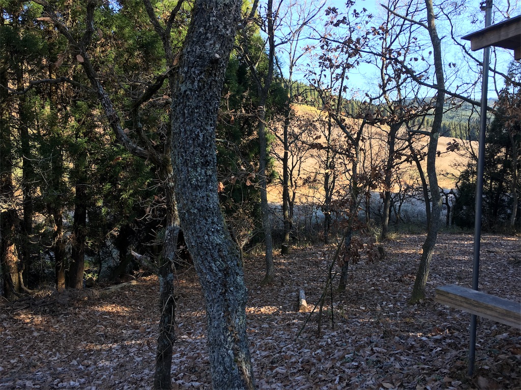 f:id:sakamotozenzo:20171202215228j:image f:id:sakamotozenzo:20171202215228j:image