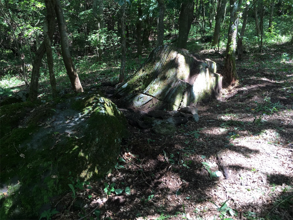 f:id:sakamotozenzo:20190906232057j:image f:id:sakamotozenzo:20190906232057j:image