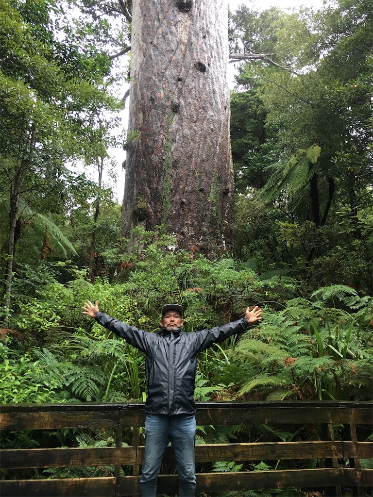 f:id:sakamotozenzo:20190906232327j:image f:id:sakamotozenzo:20190906232327j:image