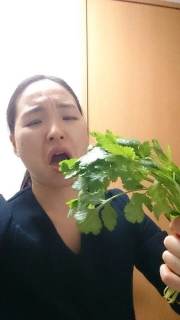 f:id:sakamotwin:20160213125338j:image f:id:sakamotwin:20160213125338j:image