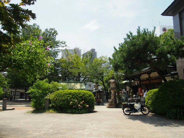 f:id:sakamotwin:20160705214123j:image f:id:sakamotwin:20160705214123j:image