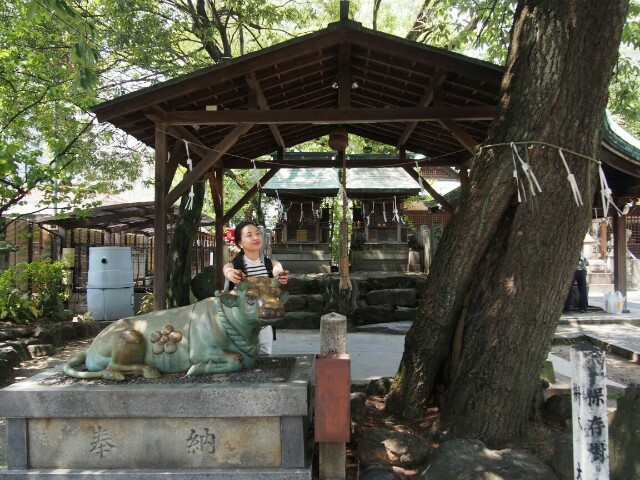 f:id:sakamotwin:20160705221324j:image f:id:sakamotwin:20160705221324j:image