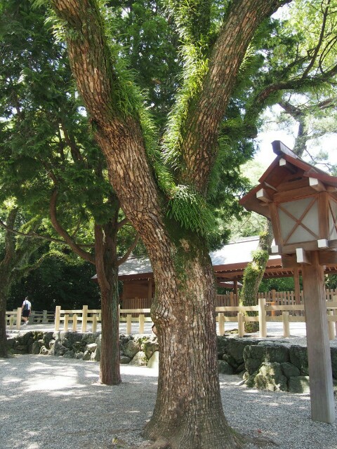 f:id:sakamotwin:20160705221449j:image f:id:sakamotwin:20160705221449j:image