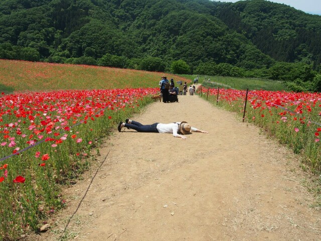f:id:sakamotwin:20160802233148j:image f:id:sakamotwin:20160802233148j:image