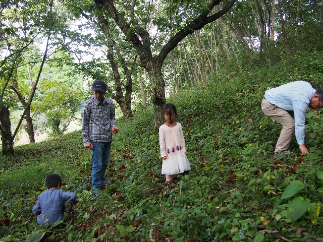 f:id:sakamotwin:20161004214722j:image f:id:sakamotwin:20161004214722j:image