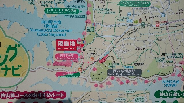 f:id:sakamotwin:20161018205452j:image f:id:sakamotwin:20161018205452j:image