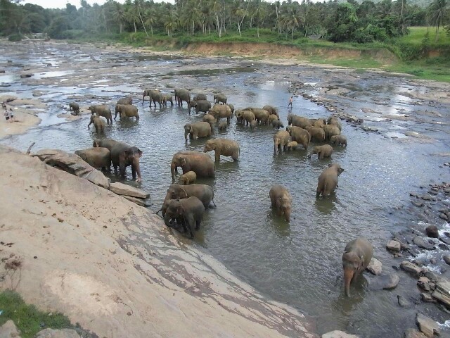 f:id:sakamotwin:20161026234442j:image f:id:sakamotwin:20161026234442j:image