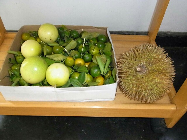 f:id:sakamotwin:20161026235214j:image f:id:sakamotwin:20161026235214j:image