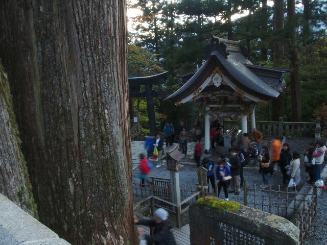 f:id:sakamotwin:20161102205341j:image