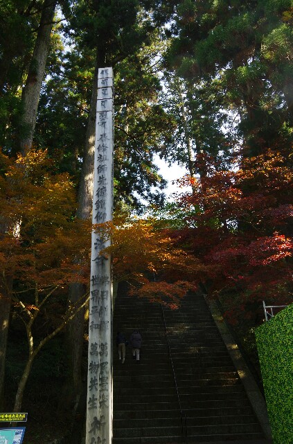 f:id:sakamotwin:20161109214113j:image