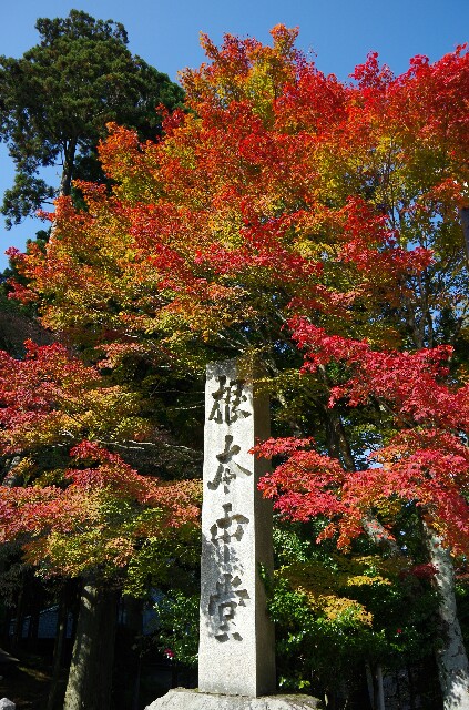 f:id:sakamotwin:20161109214732j:image