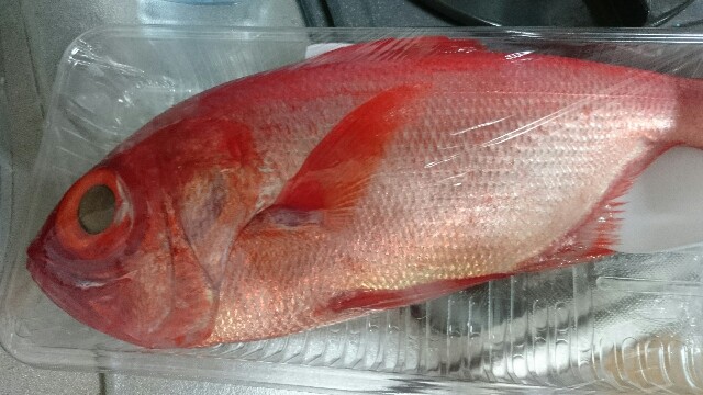 f:id:sakamotwin:20161115223018j:image