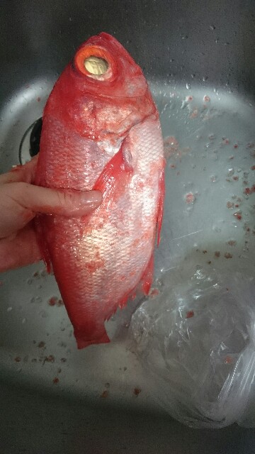 f:id:sakamotwin:20161115223304j:image