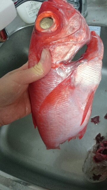 f:id:sakamotwin:20161115223457j:image