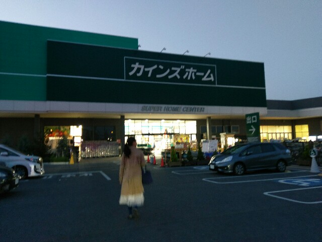 f:id:sakamotwin:20161119002346j:image