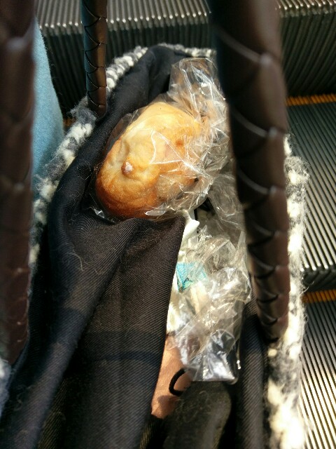 f:id:sakamotwin:20161208145238j:image