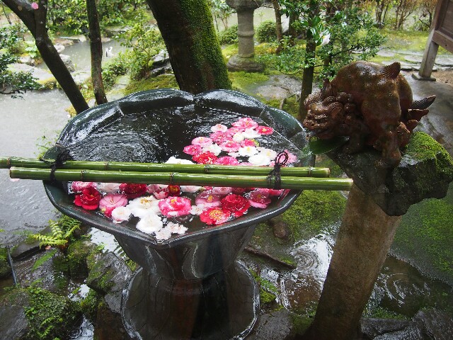 f:id:sakamotwin:20161229233049j:image