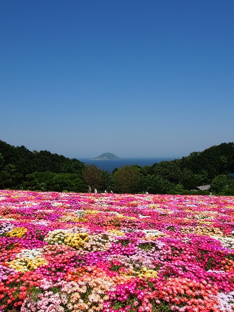 f:id:sakamotwin:20161229234303j:image