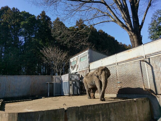 f:id:sakamotwin:20170102010331j:image