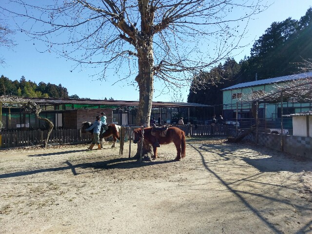 f:id:sakamotwin:20170102010923j:image