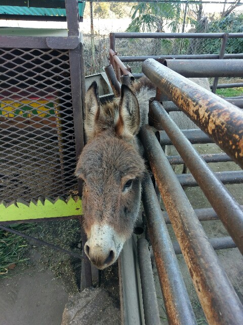 f:id:sakamotwin:20170108071300j:image f:id:sakamotwin:20170108071300j:image