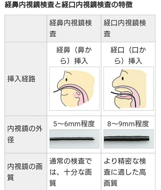 f:id:sakamotwin:20170309223129j:image f:id:sakamotwin:20170309223129j:image