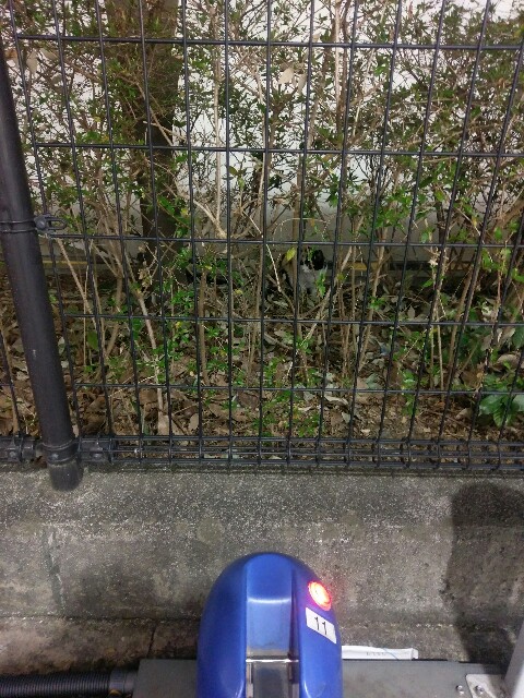 f:id:sakamotwin:20170313235803j:image